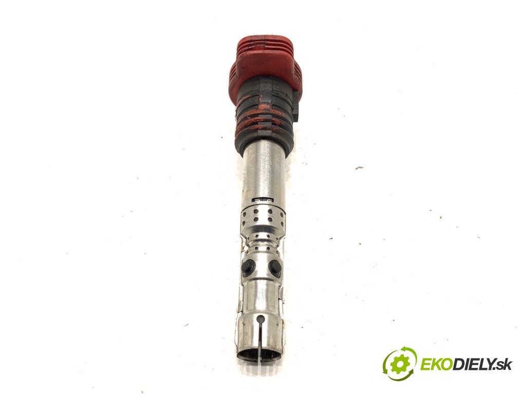 AUDI A6 C5 sedan 2002 162 kW 3.0 2976 Cievka zapaľovacia 0040102051 (Zapaľovacia cievka)