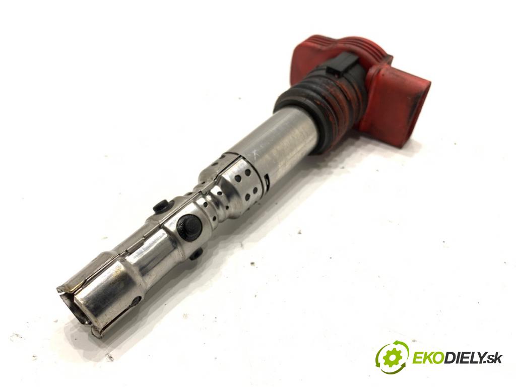 AUDI A6 C5 sedan 2002 162 kW 3.0 2976 Cievka zapaľovacia 0040102051 (Zapaľovacia cievka)