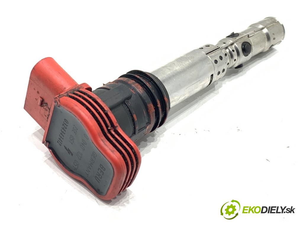 AUDI A6 C5 sedan 2002 162 kW 3.0 2976 Cievka zapaľovacia 0040102051 (Zapaľovacia cievka)