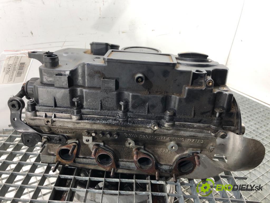 VW PASSAT B6 sedan 2007 125 kW 2.0 TDI 1968 Hlava valcov 03G103373A (Hlava valcov)