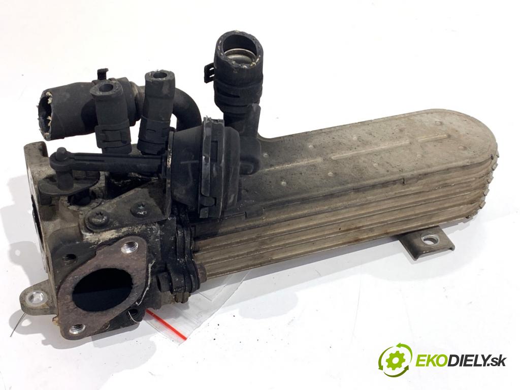 VW GOLF V liftback 2004 103 kW 2.0 TDI 1968 Chladič EGR 038131513