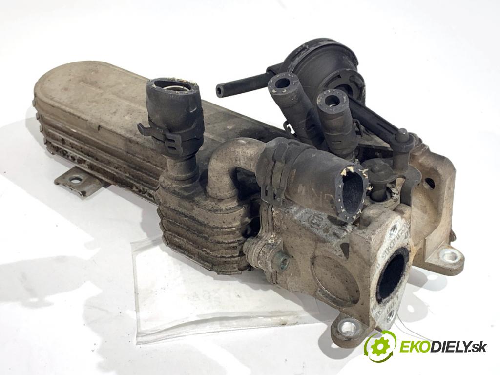 VW GOLF V liftback 2004 103 kW 2.0 TDI 1968 Chladič EGR 038131513
