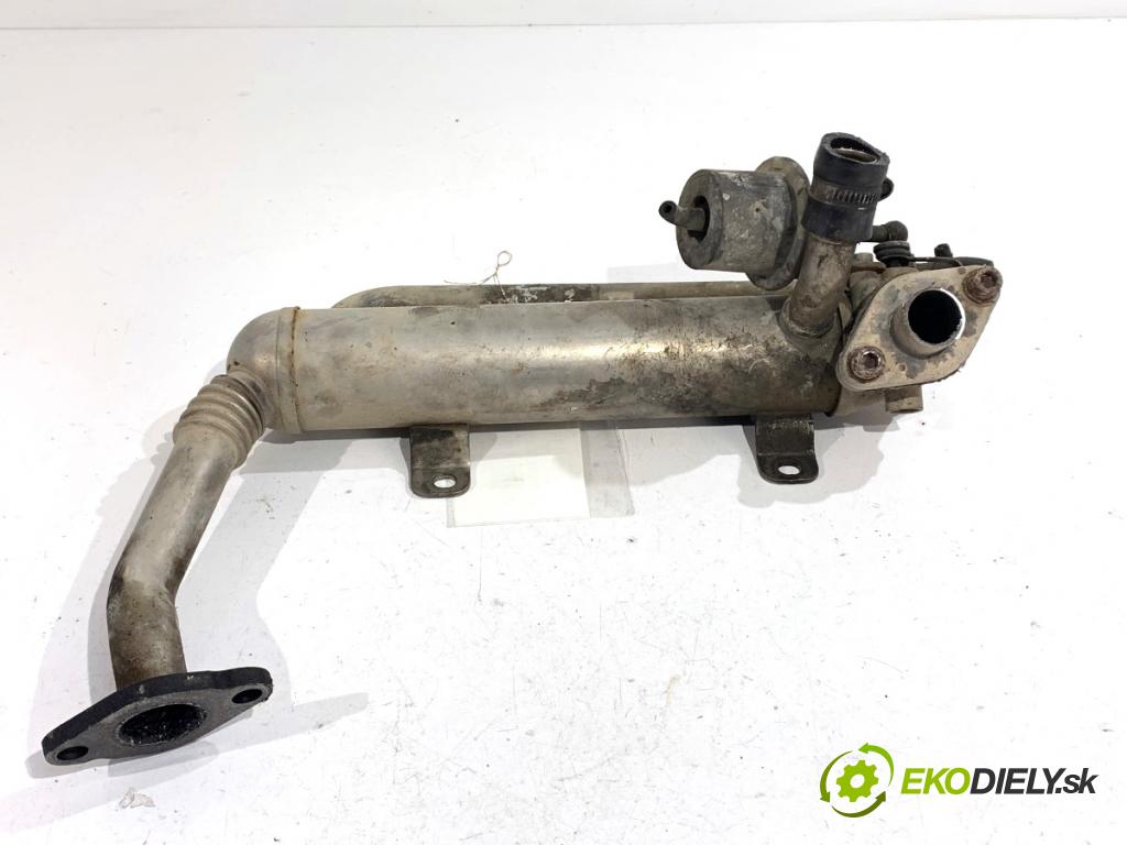 VW PASSAT B6 sedan 2005 103 kW 2.0 TDI 1968 Chladič EGR 03G131512G