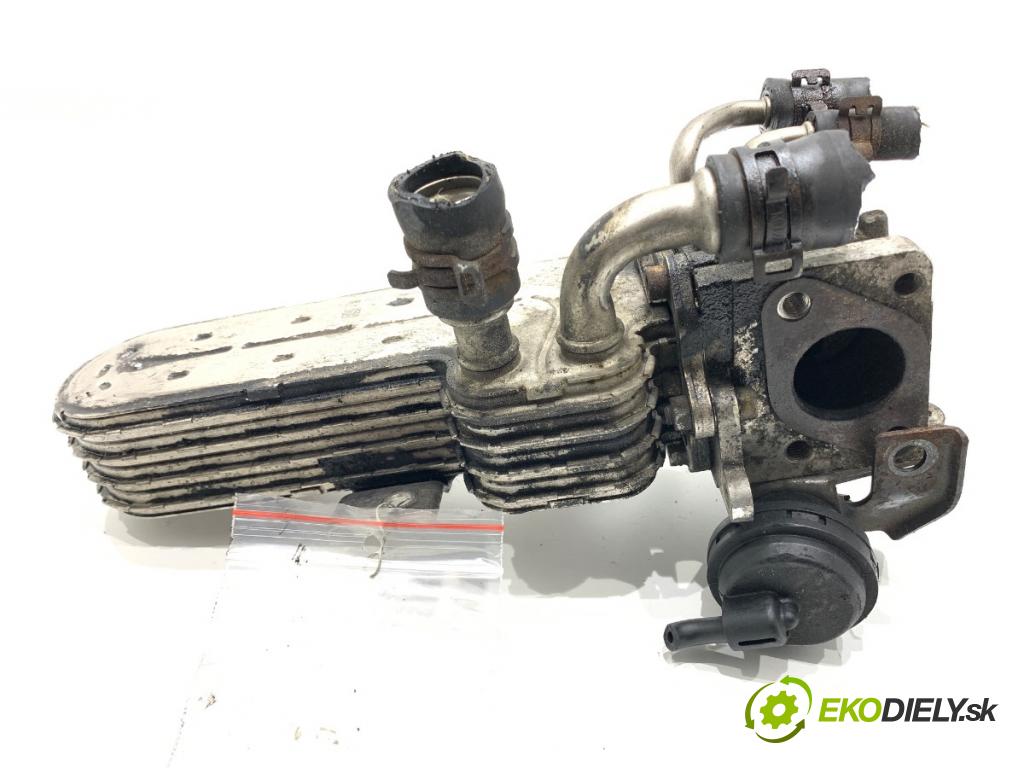 VW PASSAT B6 sedan 2006 77 kW 1.9 TDI 1896 Chladič EGR 038131513AD