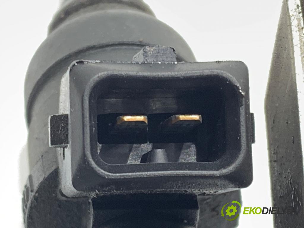 BMW E46 Kombi 2001 125 kW 323 i 2494 Lišta vstrekovacia 1437442 (Vstrekovacia lišta)