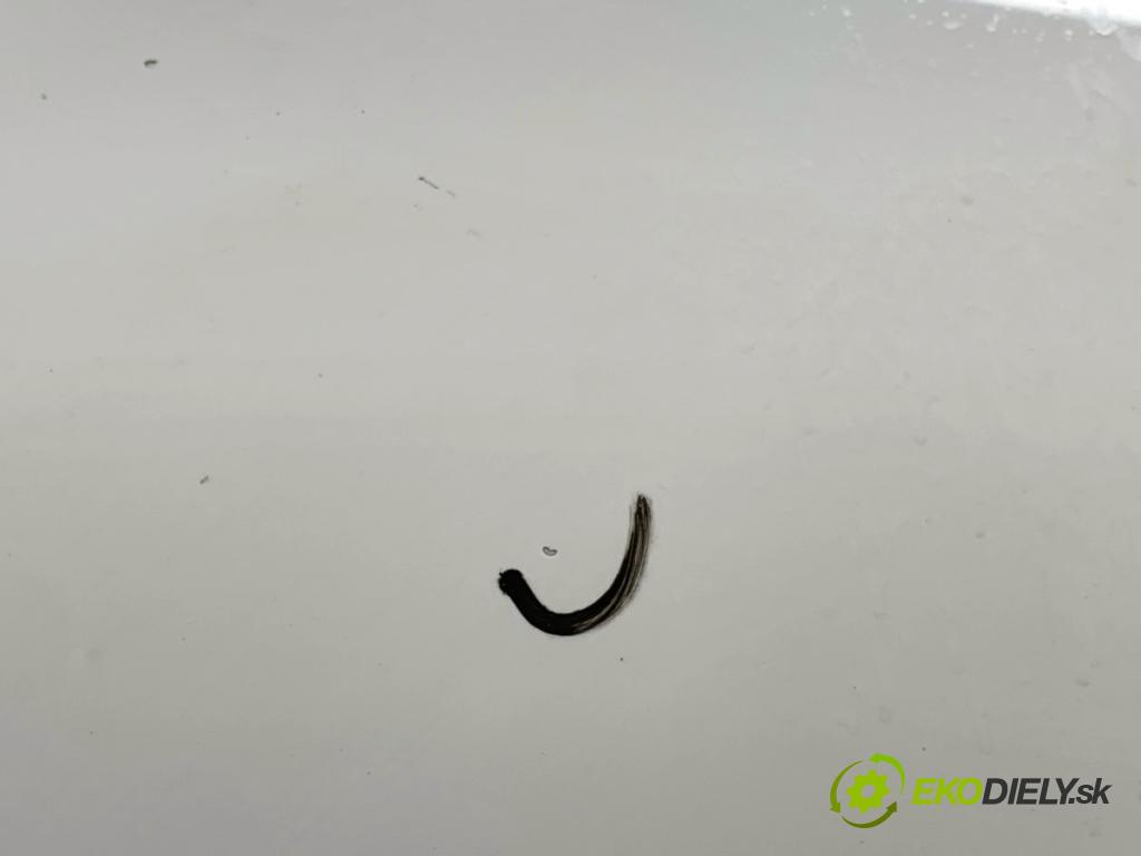 VW CC B7 coupe 2013 147 kW 2.0 TFSI 1984 kapota LB9A (Kapota)