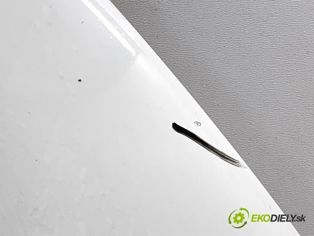 VW CC B7 coupe 2013 147 kW 2.0 TFSI 1984 kapota LB9A (Kapota)