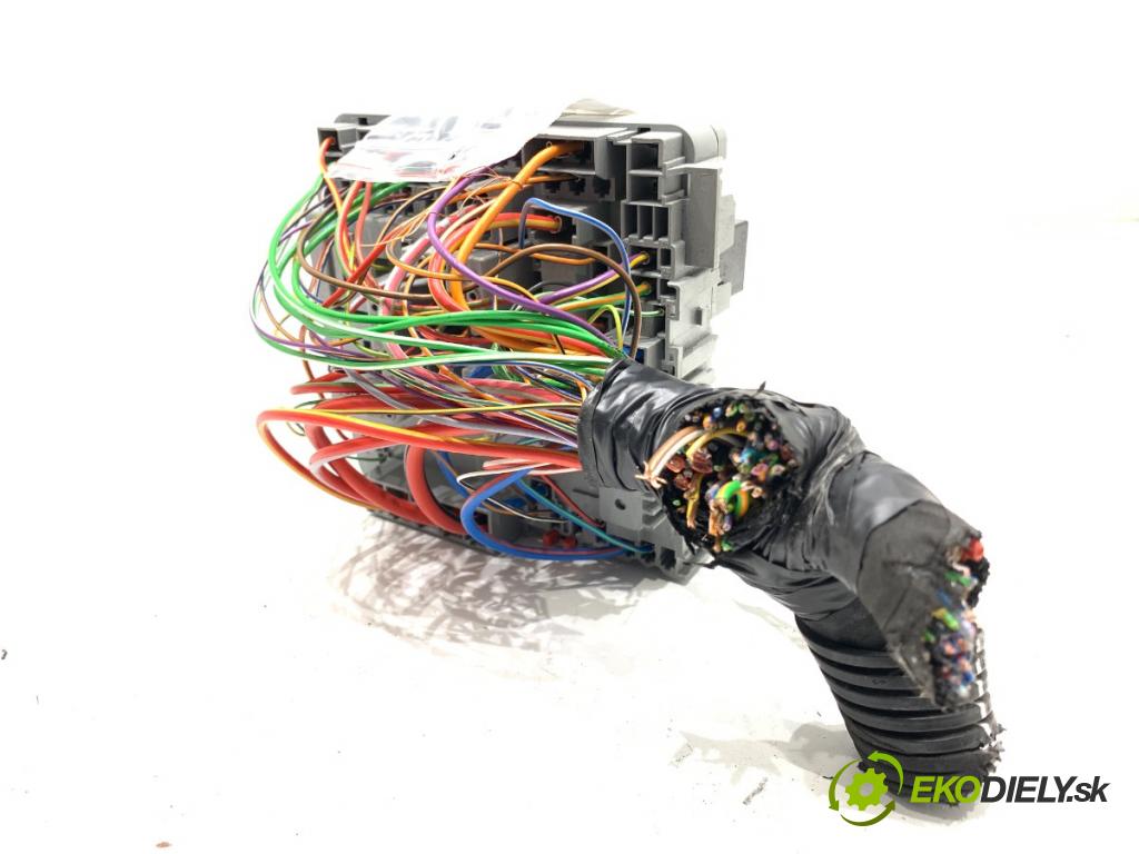 FIAT DOBLO II Nadwozie pełne/minivan 2016 66 kW 1.3 D Multijet 1248 skříňka poistková 52028777 (Pojistková skříňka)