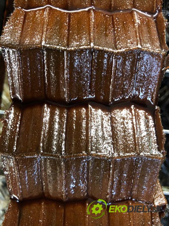 RENAULT CAPTUR II liftback 2021 67 kW 1.0 TCe 90 ECO-G (HFM6) 999 Motor H4DF480 H4D480 (Motor)