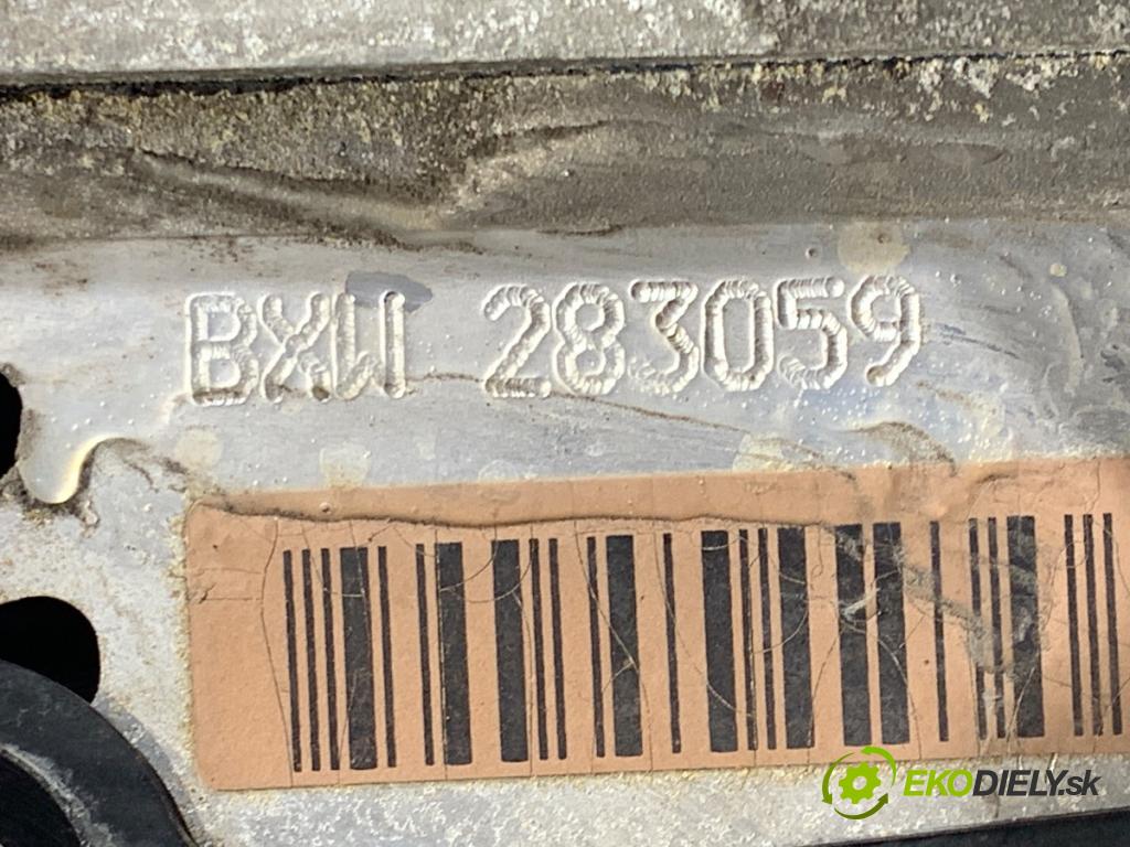 SEAT IBIZA IV liftback 2008 63 kW 1.4 1390 motor BXW (Motor)