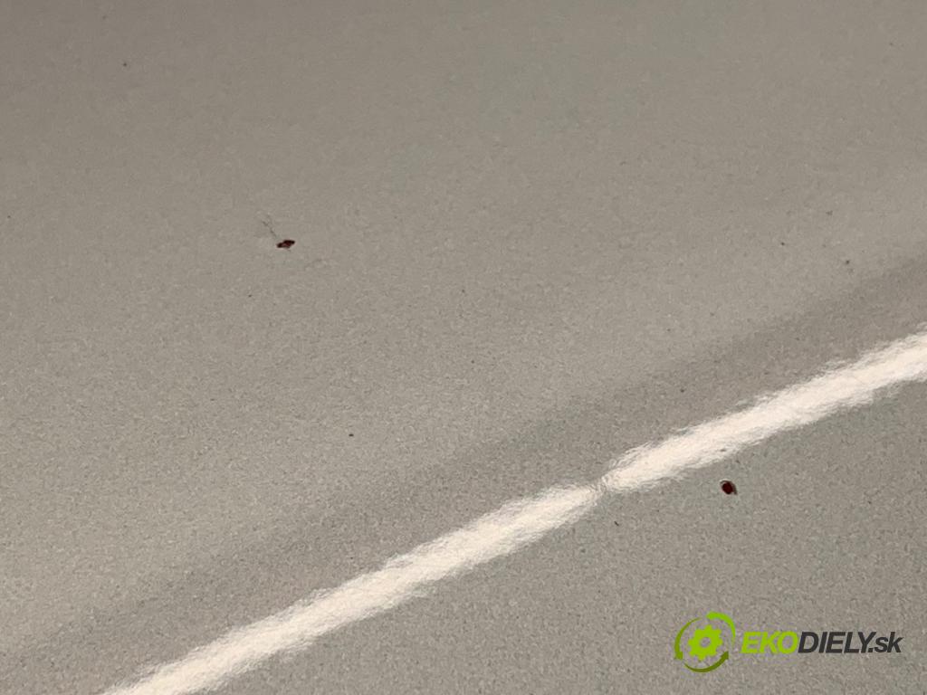 FIAT 500 liftback 2008 51 kW 1.2 (312AXA1A) 1242 kapota  (Kapota)