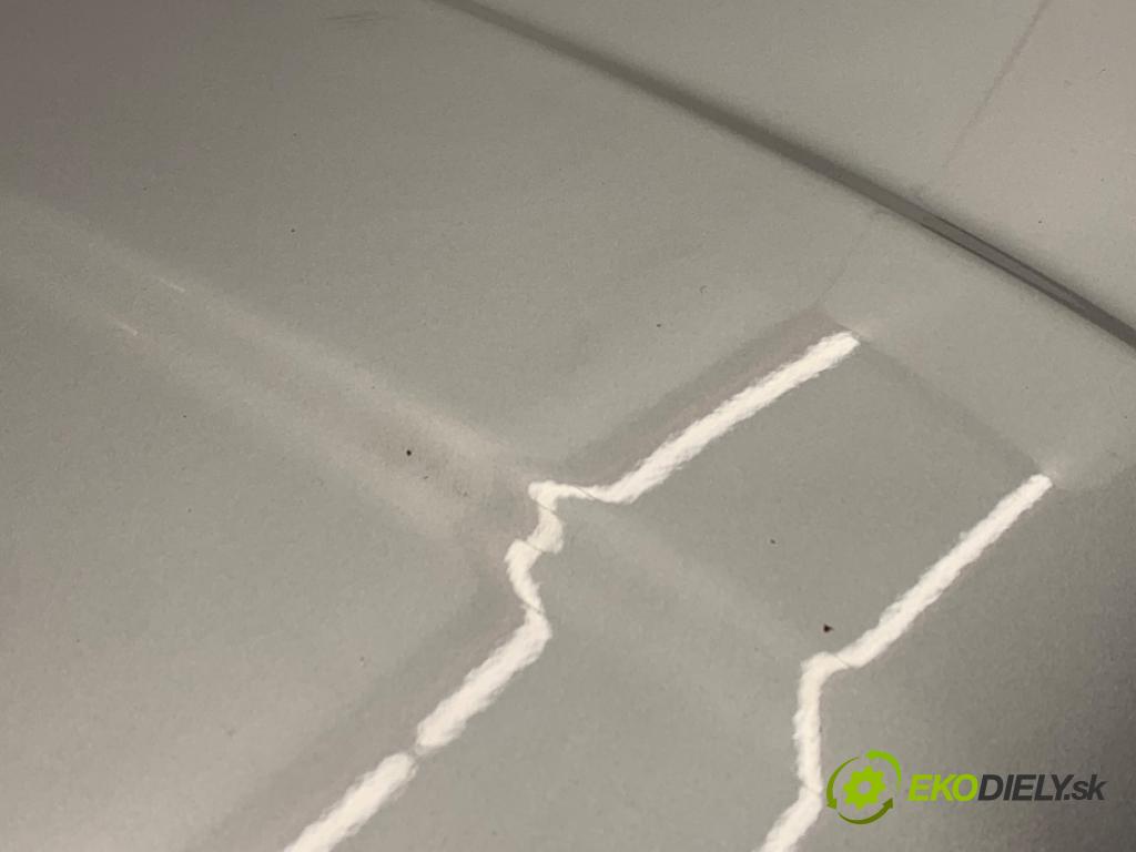 FIAT 500 liftback 2008 51 kW 1.2 (312AXA1A) 1242 kapota  (Kapota)