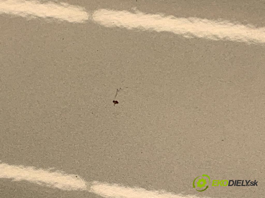 FIAT 500 liftback 2008 51 kW 1.2 (312AXA1A) 1242 kapota  (Kapota)