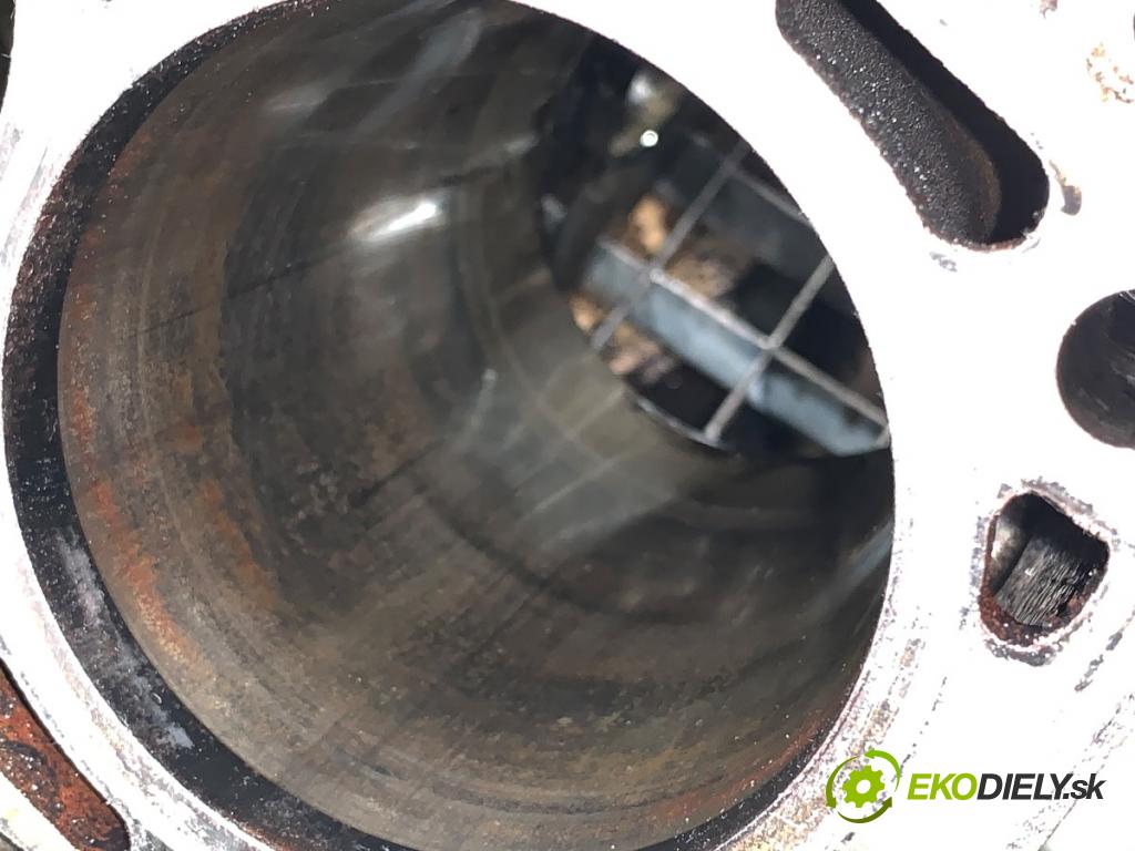 AUDI A7 4G liftback 2012 230 kW 3.0 TDI quattro 2967 JEDNOTKA: motora 059103023AM (Blok motoru)