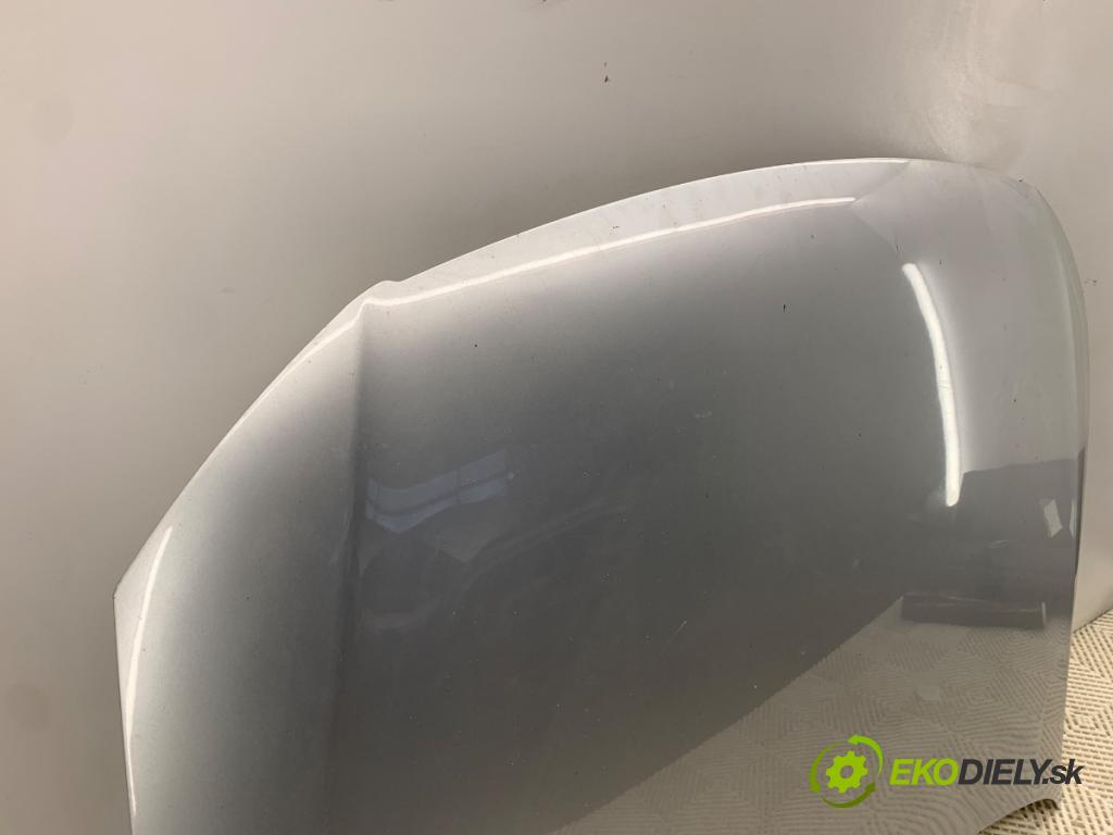 VW PASSAT B6 Kombi 2007 103 kW 2.0 TDI 1968 kapota LA7W (Kapota)