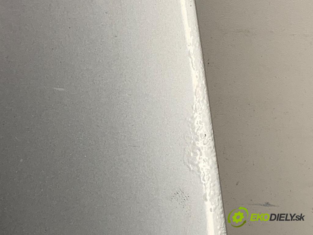 VW PASSAT B6 Kombi 2007 103 kW 2.0 TDI 1968 kapota LA7W (Kapota)