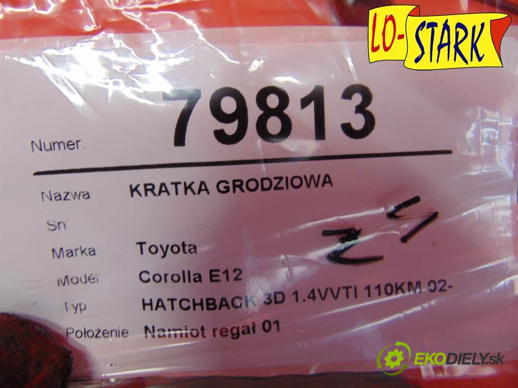 Toyota Corolla E12  2003 110KM HATCHBACK 3D 1.6VVTI 110KM 02-07 1600 Mriežky deliaca  (Ostatné)