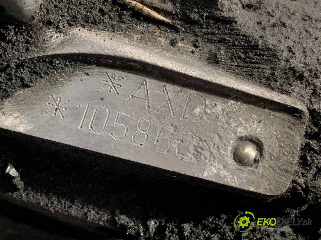 VW TRANSPORTER T5 Autobus 2003 96 kW 2.5 TDI 2461 Motor AXD (Motor)