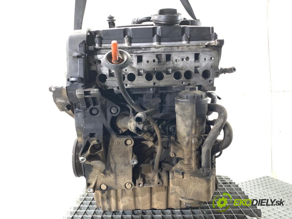VW PASSAT B6 Kombi 2007 103 kW 2.0 TDI 1968 Motor BKP (Motor)