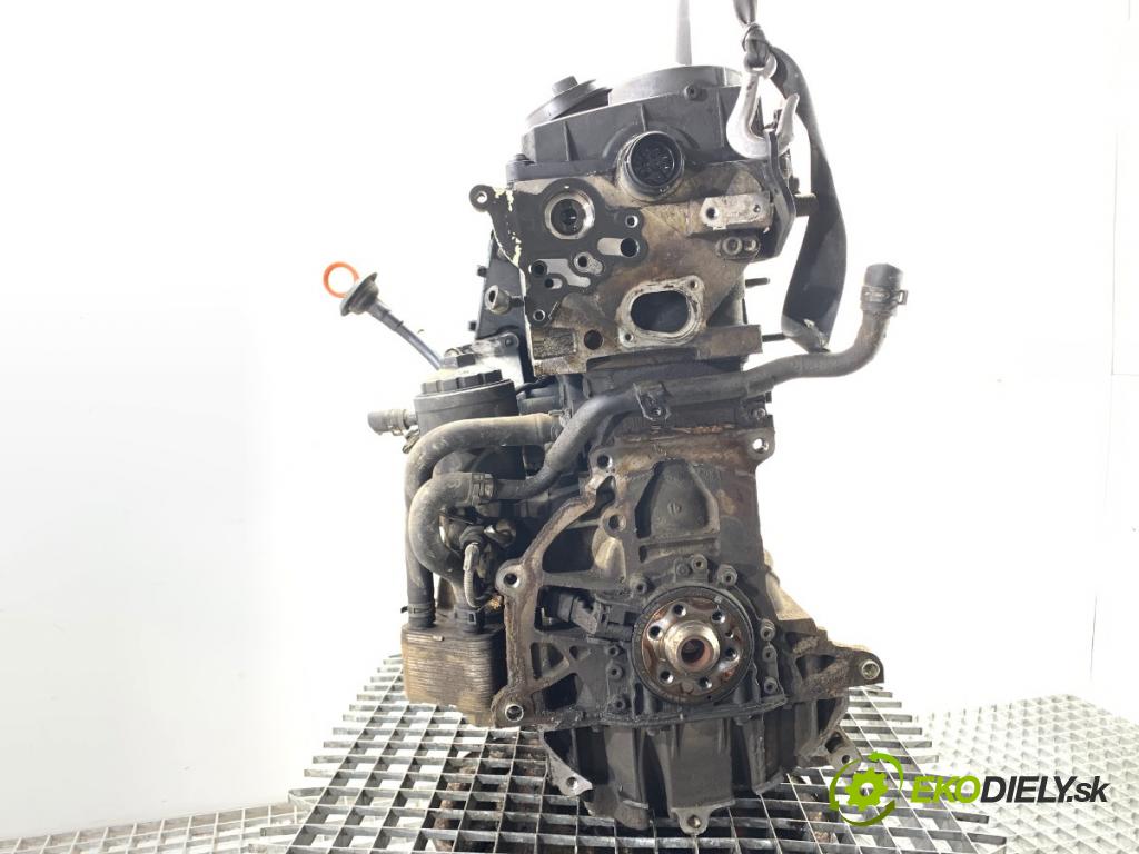 VW PASSAT B6 Kombi 2007 103 kW 2.0 TDI 1968 Motor BKP (Motor)