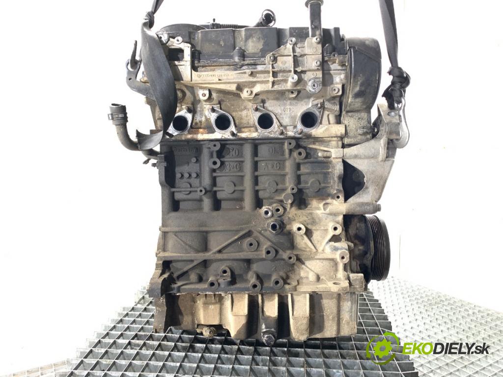 VW PASSAT B6 Kombi 2007 103 kW 2.0 TDI 1968 Motor BKP (Motor)