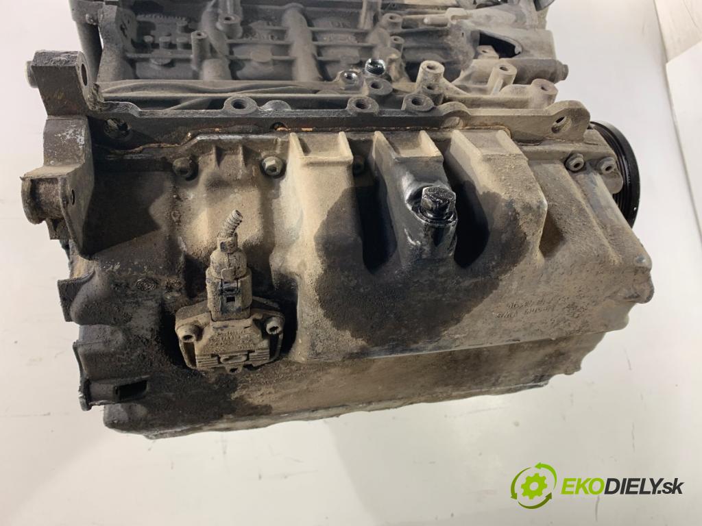 VW PASSAT B6 Kombi 2007 103 kW 2.0 TDI 1968 Motor BKP (Motor)