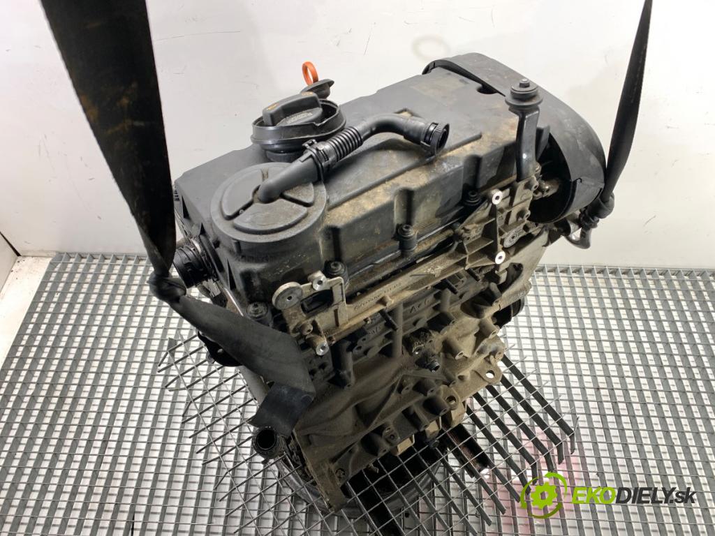 VW PASSAT B6 Kombi 2007 103 kW 2.0 TDI 1968 Motor BKP (Motor)