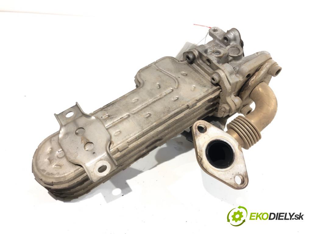 VW PASSAT B6 Kombi 2007 103 kW 2.0 TDI 1968 Chladič EGR 03G131513J