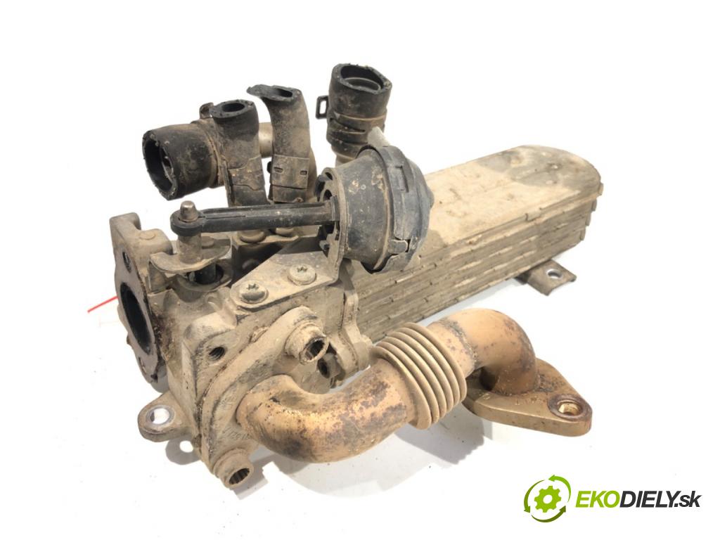 VW PASSAT B6 Kombi 2007 103 kW 2.0 TDI 1968 chladič EGR 03G131513J