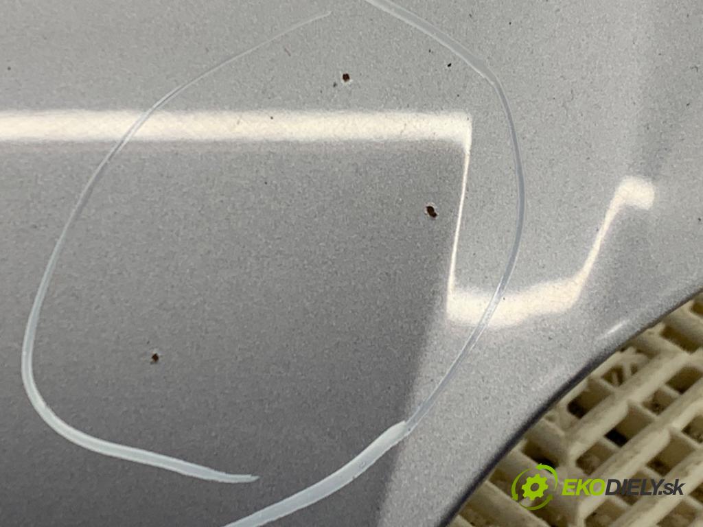 OPEL MERIVA A nadwozie wielkoprzestrzenne (MPV) 2004 92 kW 1.8 (E75) 1796 kapota  (Kapota)