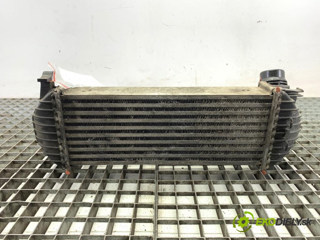 RENAULT KANGOO II nadwozie wielkoprzestrzenne (MPV) 2016 55 kW 1.5 dCi 75 (KW07, KW10, KW04) 1461 intercooler 144963234R (Intercooler (chladič nasávaného vzduchu))