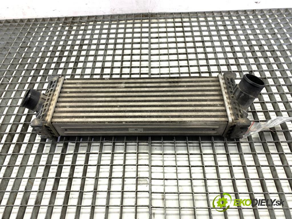 FORD TRANSIT CUSTOM I Autobus 2017 96 kW 2.0 EcoBlue 1995 intercooler GK21-6K775-AE (Intercooler (chladič nasávaného vzduchu))