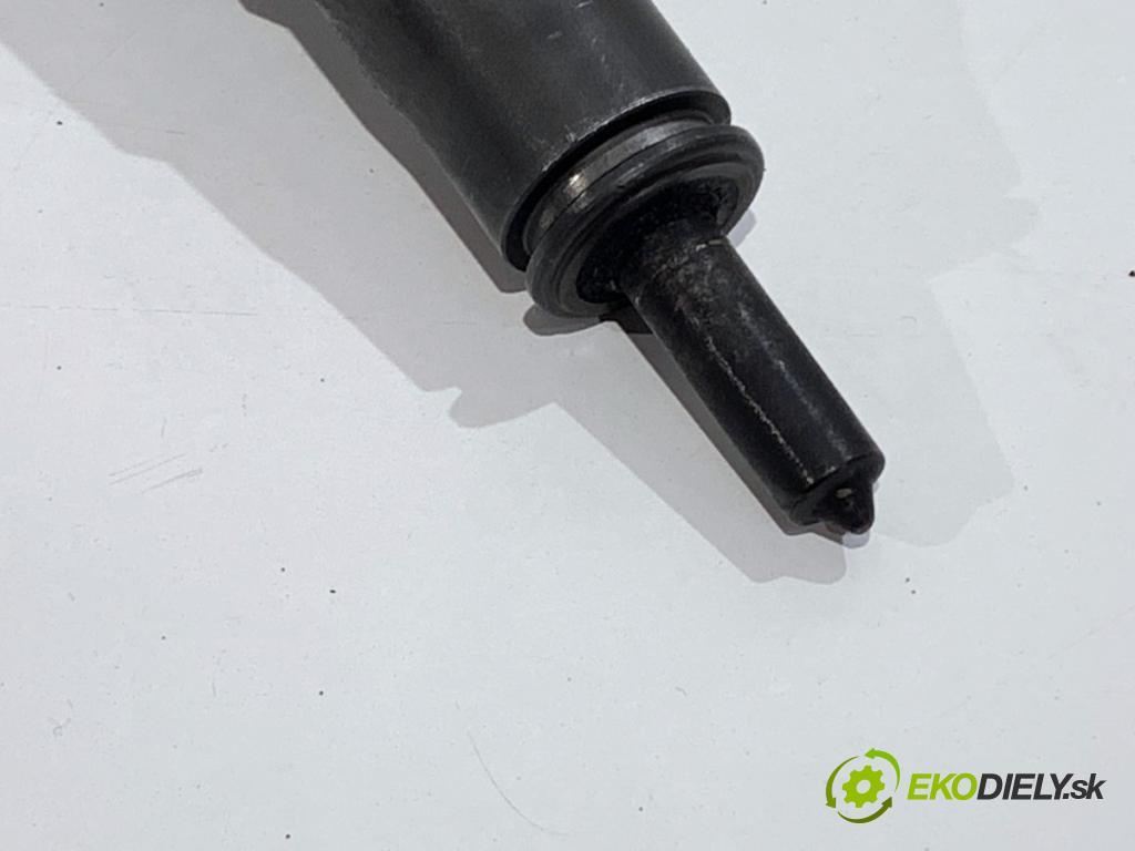 SEAT TOLEDO III nadwozie wielkoprzestrzenne (MPV) 2005 77 kW 1.9 TDI 1896 Vstrekovač 038130073AG (Vstrekovač paliva)