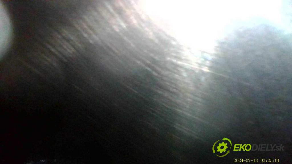 NISSAN JUKE F15 SUV 2012 86 kW 1.6 1598 Motor HR16 (Motor)