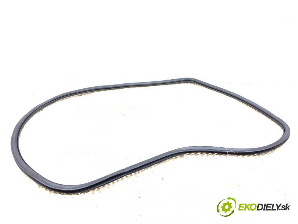 JEEP COMPASS MP SUV 2019 103 kW 1.4 MultiAir 1368 těsnění dveře zadní část levá strana  (Karoserie ostatní)