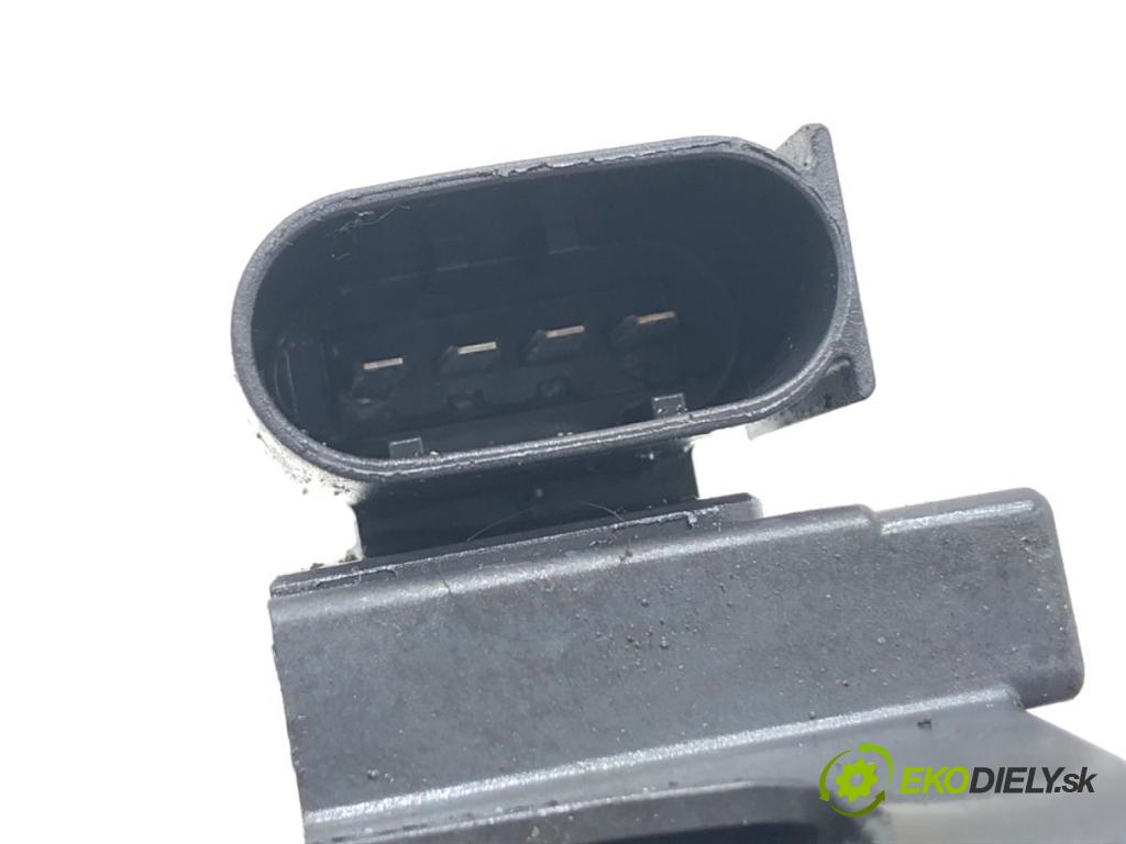 RENAULT GRAND SCENIC IV nadwozie wielkoprzestrzenne (MPV) 2018 103 kW 1.3 TCe 140 1332 Cievka zapaľovacia A2829060000 (Zapaľovacia cievka)