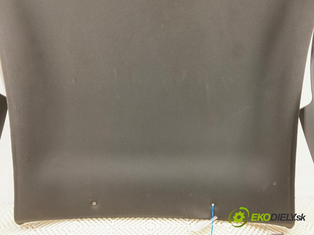 FORD USA MUSTANG V coupe 2014 227 kW 3.7 3726 Stropný tapacír DR3363519C08 (Stropný tapacír)