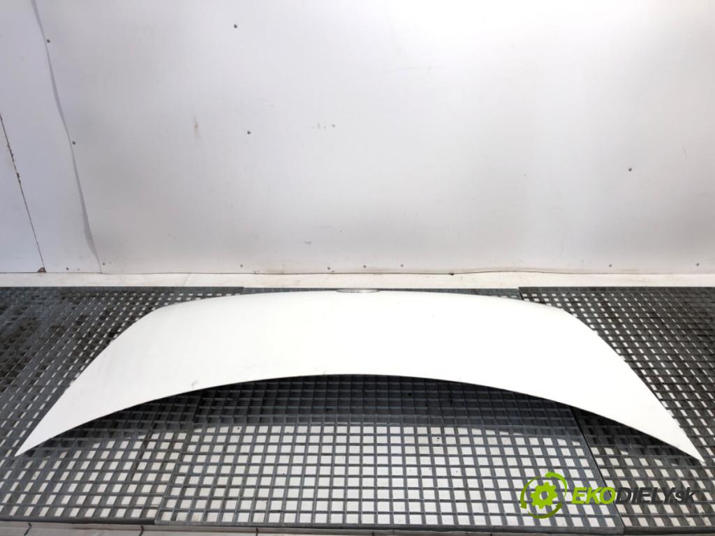 FORD TRANSIT IV Autobus 2002 74 kW 2.0 DI (F_E_, F_F_, F_G_) 1998 kapota  (Kapota)