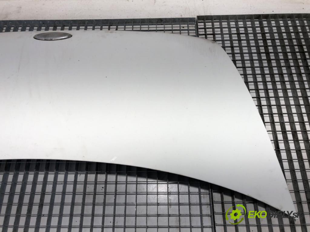 FORD TRANSIT IV Autobus 2002 74 kW 2.0 DI (F_E_, F_F_, F_G_) 1998 kapota  (Kapota)