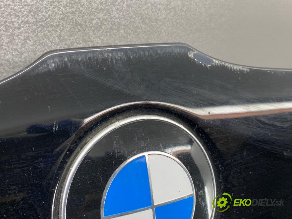 BMW E61 Kombi 2007 130 kW 525 d 2497 kapota 668 (Kapota)