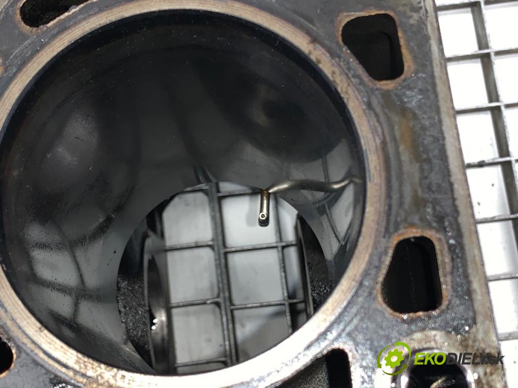 OPEL ANTARA A SUV 2007 110 kW 2.0 CDTI 4x4 1991 blok Motor 96440108 (Blok motora)