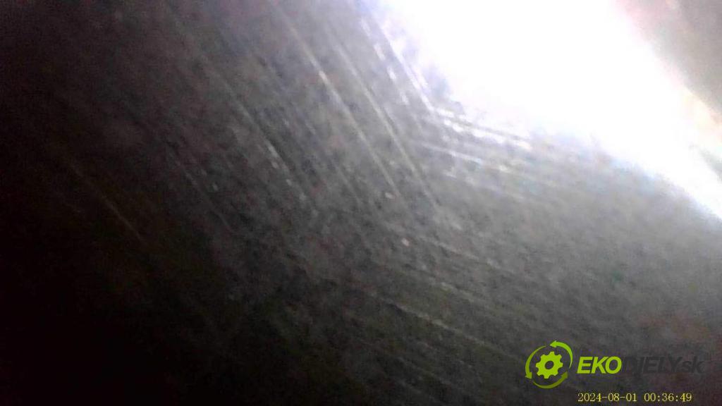 VW TIGUAN SUV 2017 110 kW 2.0 TDI 4motion 1968 Motor DFG (Motor)