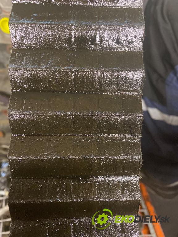 VW TIGUAN SUV 2017 110 kW 2.0 TDI 4motion 1968 Motor DFG (Motor)