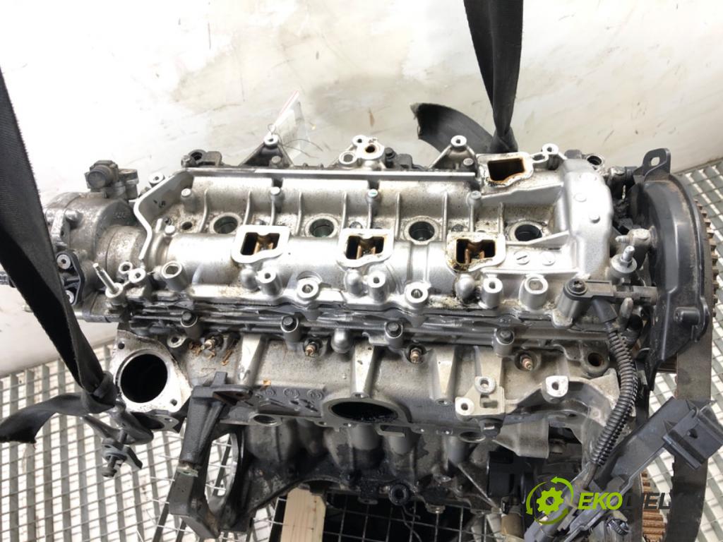 FORD FOCUS IV liftback 2019 88 kW 1.5 EcoBlue 1499 Motor ZTDA (Motor)