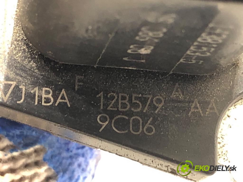 FORD FOCUS IV liftback 2019 88 kW 1.5 EcoBlue 1499 Váha vzduchu J1BA12B579 (Váha vzduchu)