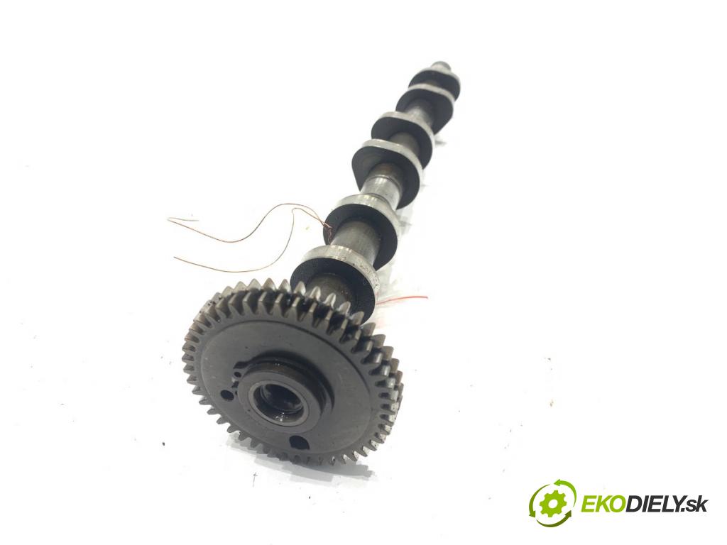 AUDI Q8 SUV 2019 210 kW 50 TDI Mild Hybrid quattro 2967 vačka (vačkový hriadeľ) 059109024BG (Vačkový hriadeľ)