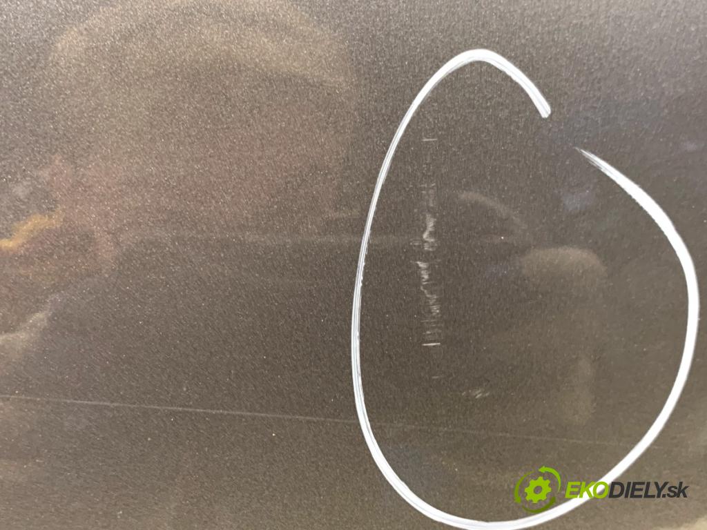 BMW F07 liftback 2013 135 kW 520 d 1995 Dvere pravy predný A52