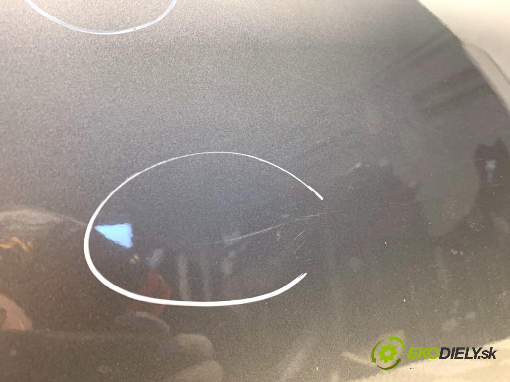 BMW F07 liftback 2013 135 kW 520 d 1995 Dvere pravy predný A52