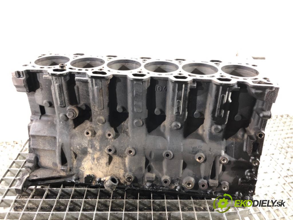 BMW E61 Kombi 2007 130 kW 525 d 2497 blok Motor 7788546 (Blok motora)