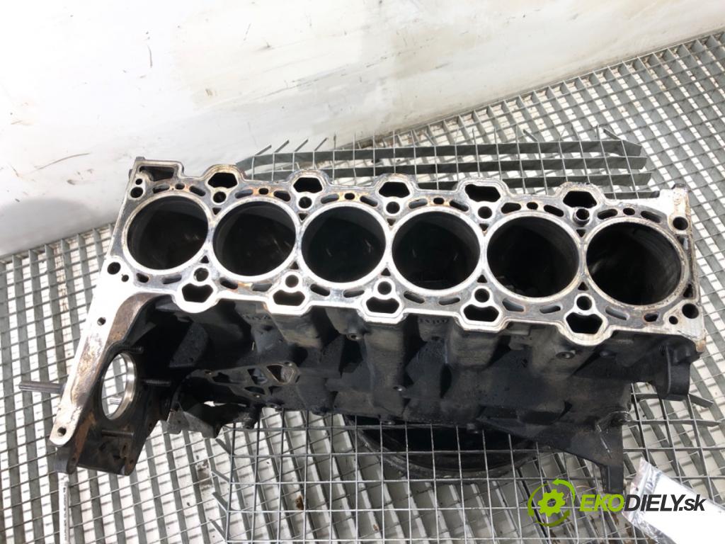 BMW E61 Kombi 2007 130 kW 525 d 2497 blok Motor 7788546 (Blok motora)